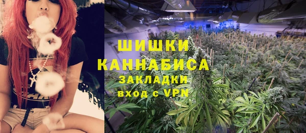 крисы Абаза