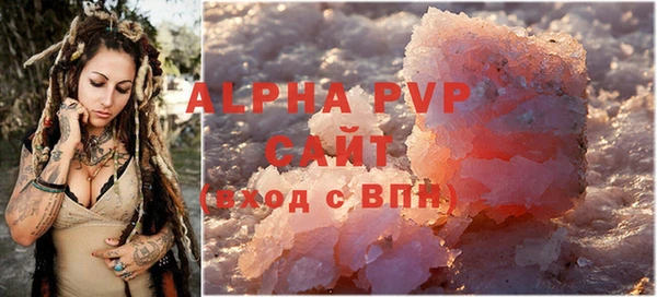 крисы Абаза
