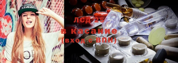 крисы Абаза