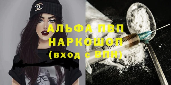 крисы Абаза