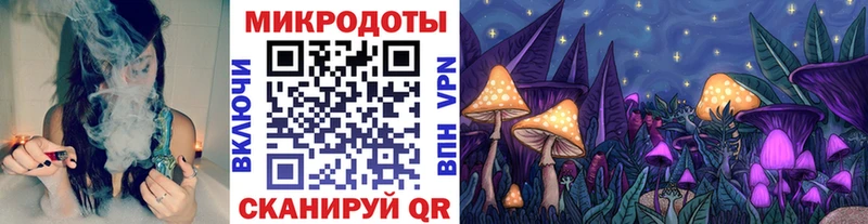 Псилоцибиновые грибы Cubensis  Камышлов 